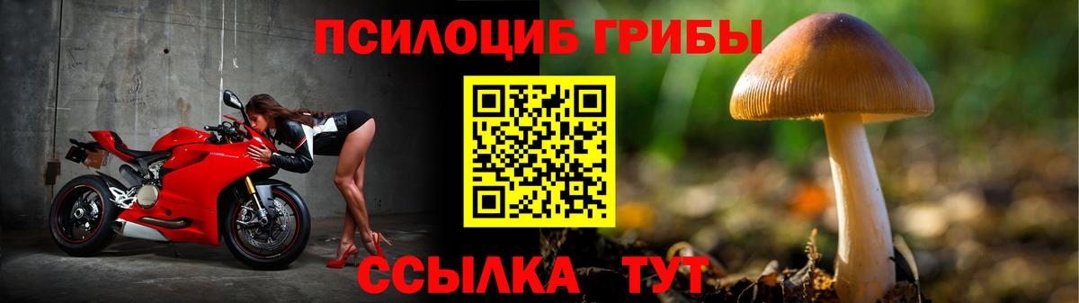 Назарово  Галлюциногенные грибы прущие грибы  Вход с VPN 